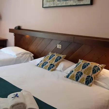 Hotel Comelico 3*