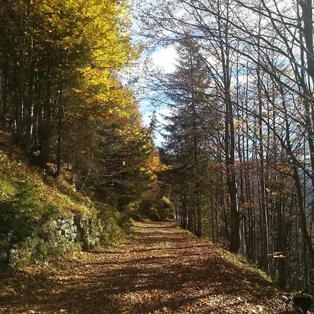 Comelico Szálloda 3*