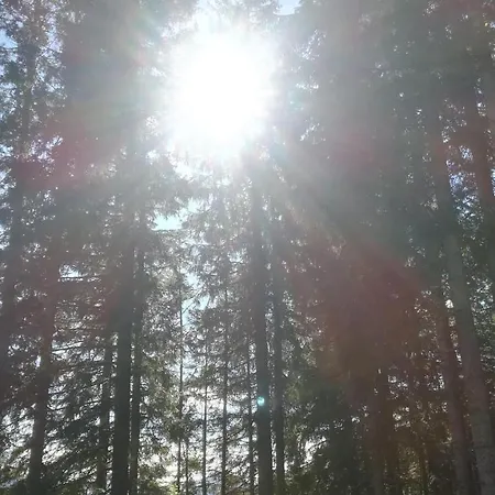 Comelico Hotel Padola