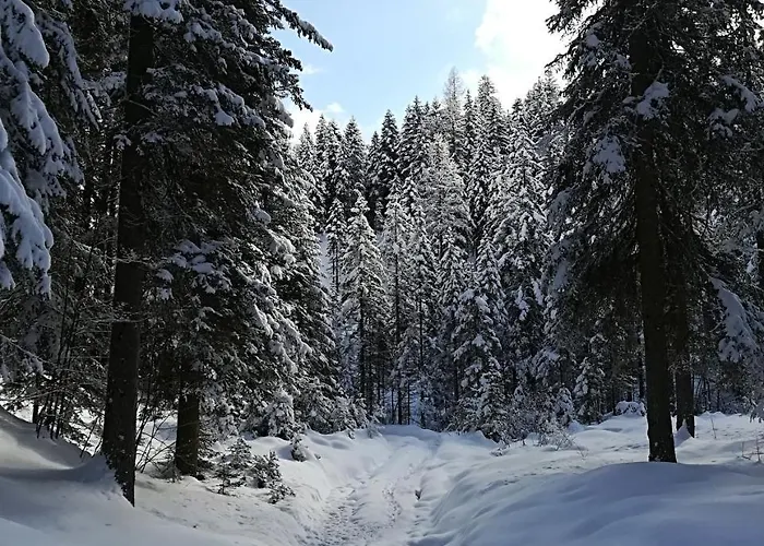 Comelico 3* Падола