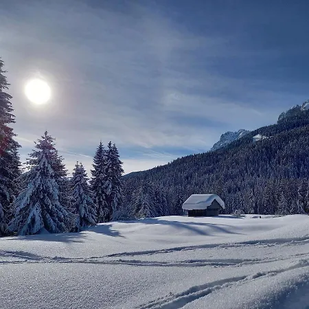 Comelico فندق 3*