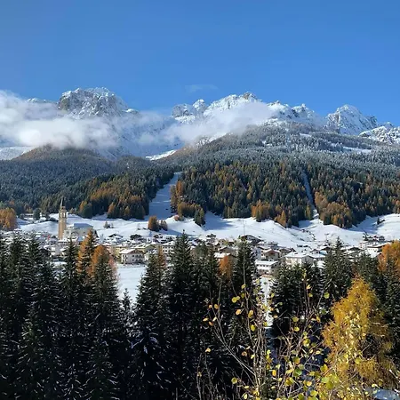 فندق Comelico بادولا