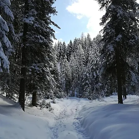 Comelico 3* بادولا