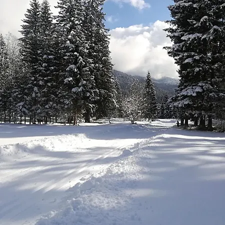 فندق Comelico 3*