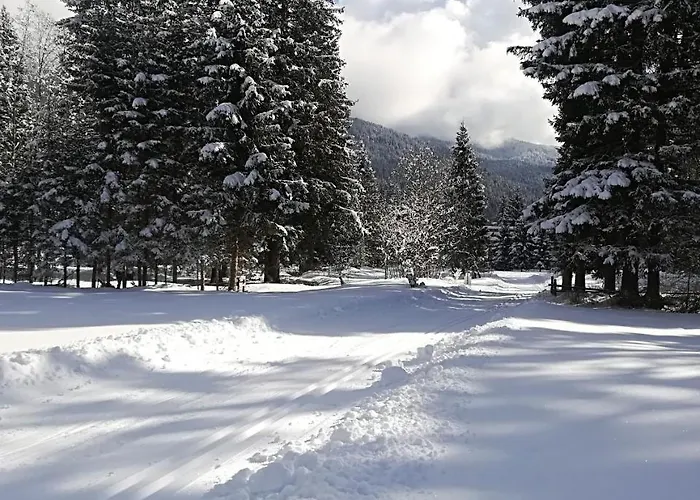 Отель Comelico 3*