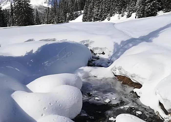 Comelico Ξενοδοχείο