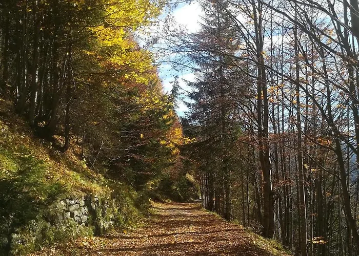 Comelico Отель 3*