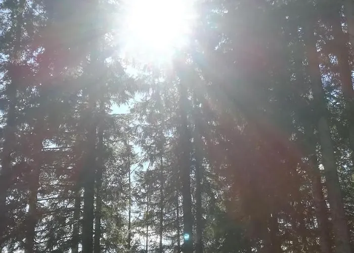 Comelico Отель Падола